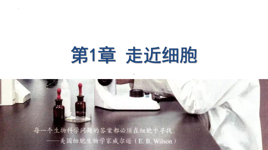 1.1细胞是生命活动的基本单位 ppt课件--2023新人教版（2019）《高中生物》必修第一册.pptx_第1页