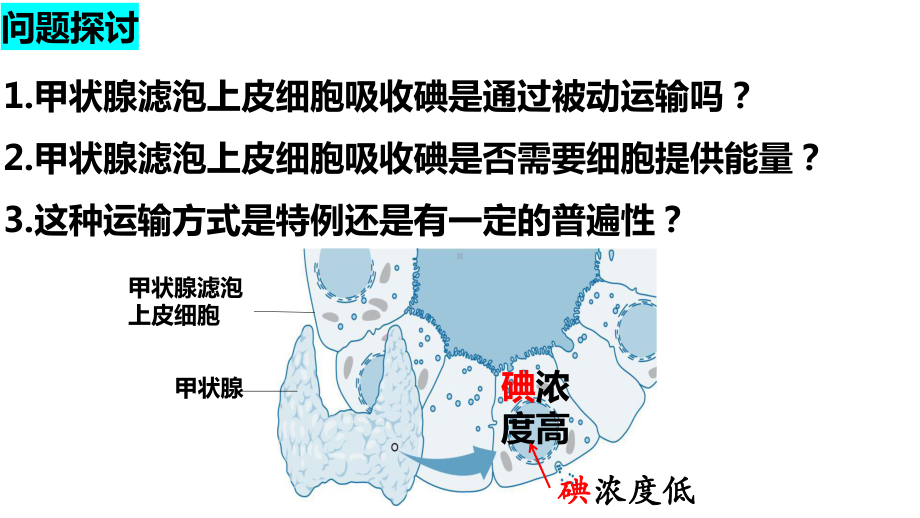 4.2主动运输和胞吞胞吐 ppt课件-2023新人教版（2019）《高中生物》必修第一册.pptx_第2页