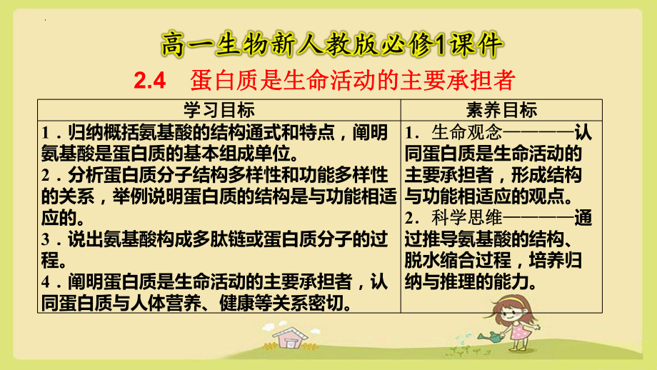 2.4蛋白质是生命活动的主要承担者 ppt课件--2023新人教版（2019）《高中生物》必修第一册.pptx_第1页