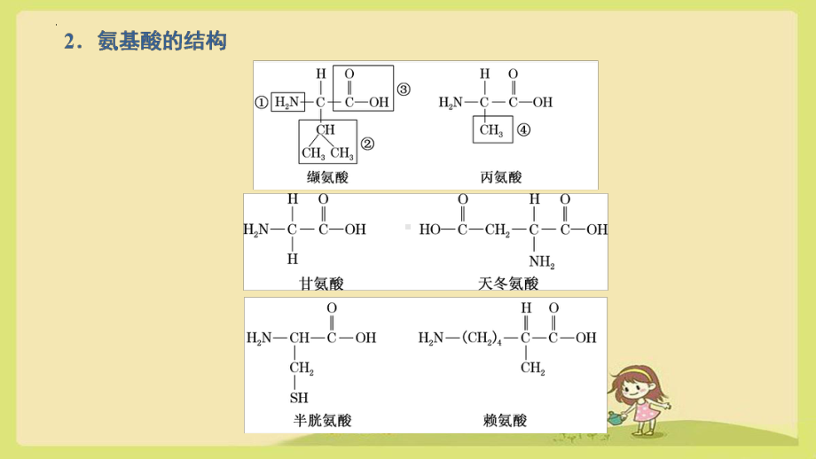 2.4蛋白质是生命活动的主要承担者 ppt课件--2023新人教版（2019）《高中生物》必修第一册.pptx_第3页