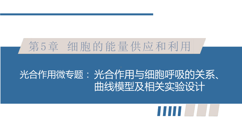 光合作用微专题光合作用与细胞呼吸的关系、曲线模型及相关实验设计 ppt课件-2023新人教版（2019）《高中生物》必修第一册.pptx_第1页