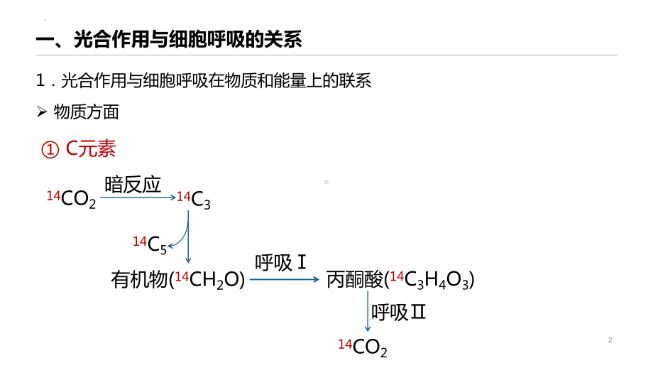 光合作用微专题光合作用与细胞呼吸的关系、曲线模型及相关实验设计 ppt课件-2023新人教版（2019）《高中生物》必修第一册.pptx_第2页