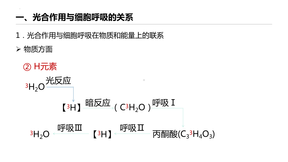 光合作用微专题光合作用与细胞呼吸的关系、曲线模型及相关实验设计 ppt课件-2023新人教版（2019）《高中生物》必修第一册.pptx_第3页