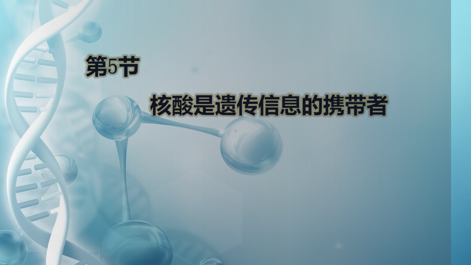 2.5核酸是遗传信息的携带者 ppt课件--2023新人教版（2019）《高中生物》必修第一册.pptx_第1页