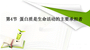 2.4 蛋白质是生命活动的主要承担者 ppt课件--2023新人教版（2019）《高中生物》必修第一册.pptx