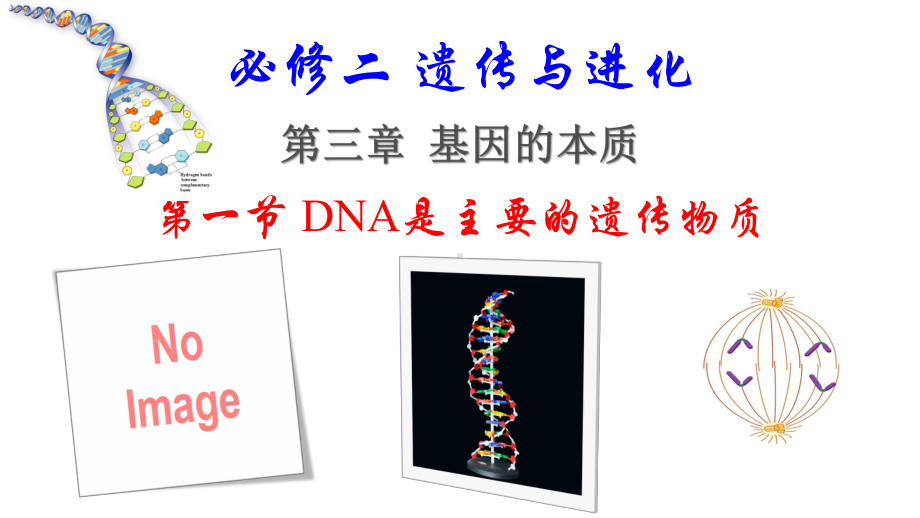 3.1DNA是主要的遗传物质 ppt课件 -2023新人教版（2019）《高中生物》必修第二册.pptx_第3页