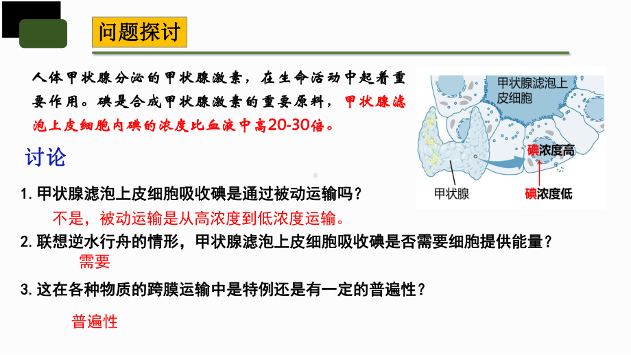 4.2主动运输与胞吞、胞吐 ppt课件(20)-2023新人教版（2019）《高中生物》必修第一册.pptx_第3页