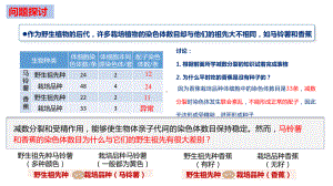 5.2染色体变异ppt课件 -2023新人教版（2019）《高中生物》必修第二册.pptx