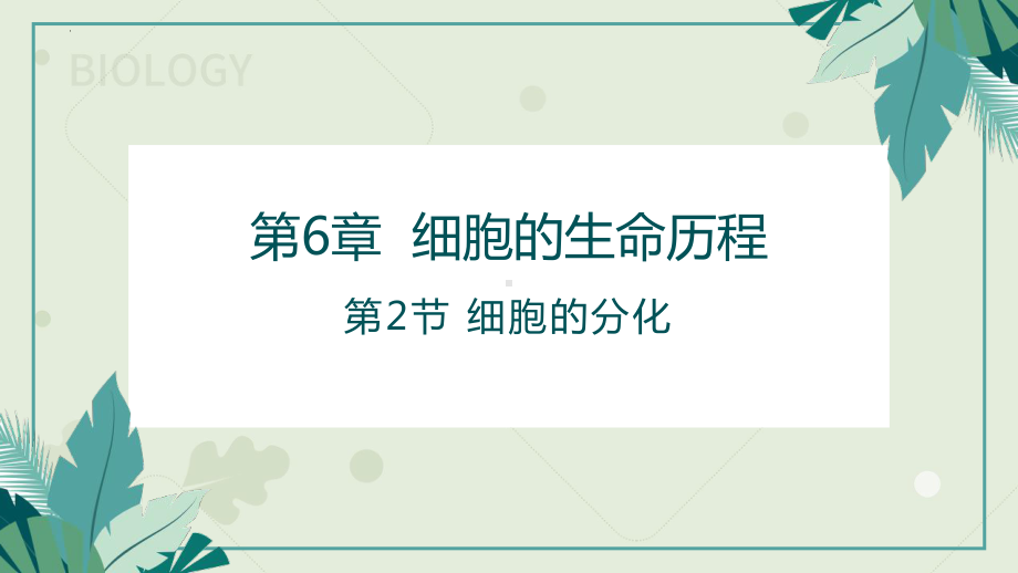 6.2细胞的分化 ppt课件-2023新人教版（2019）《高中生物》必修第一册.pptx_第1页