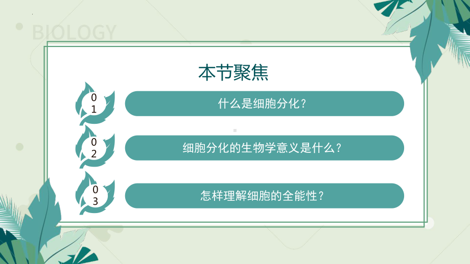 6.2细胞的分化 ppt课件-2023新人教版（2019）《高中生物》必修第一册.pptx_第2页