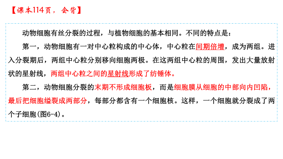 6.1细胞的增殖第二课时 ppt课件-2023新人教版（2019）《高中生物》必修第一册.pptx_第3页