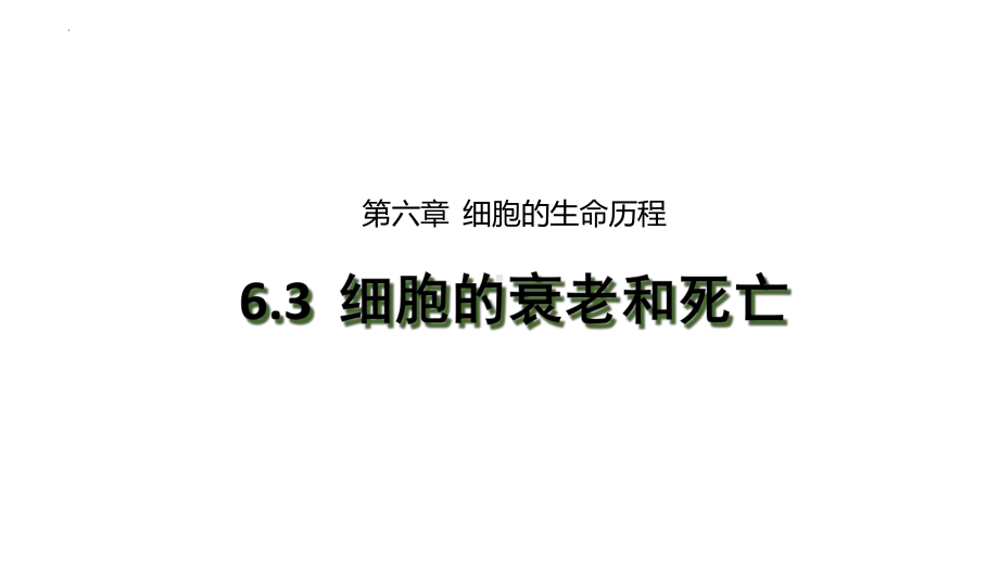 6.3细胞的衰老和死亡 ppt课件-2023新人教版（2019）《高中生物》必修第一册.pptx_第1页