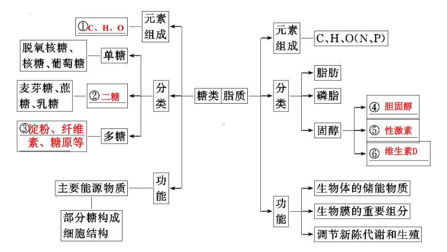 2.4蛋白质是生命活动的主要承担者 ppt课件(20)-2023新人教版（2019）《高中生物》必修第一册.pptx_第2页