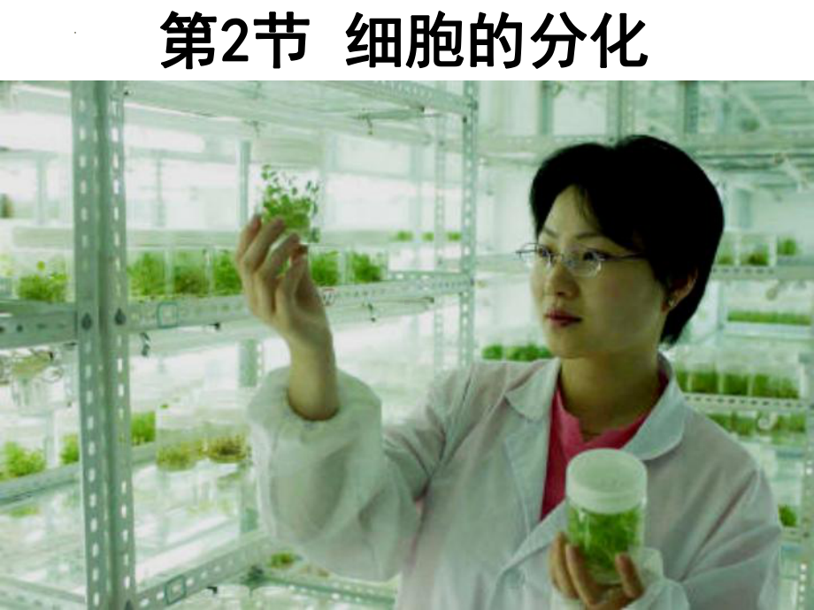 6.2 细胞的分化（教学 ppt课件）-2023新人教版（2019）《高中生物》必修第一册.pptx_第1页