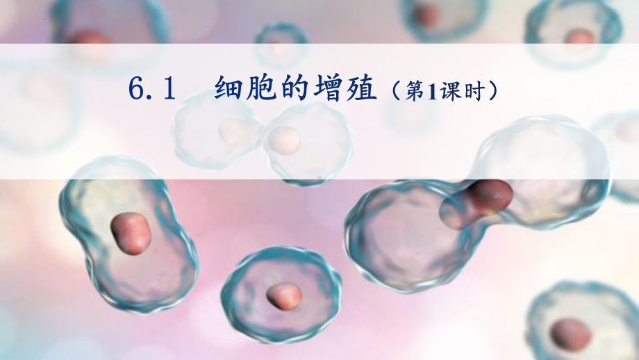 6.1细胞的增殖 ppt课件--2023新人教版（2019）《高中生物》必修第一册.pptx_第1页