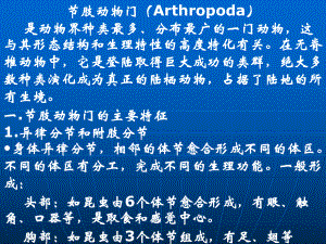 动物学 7节肢动物门(Arthropoda).ppt