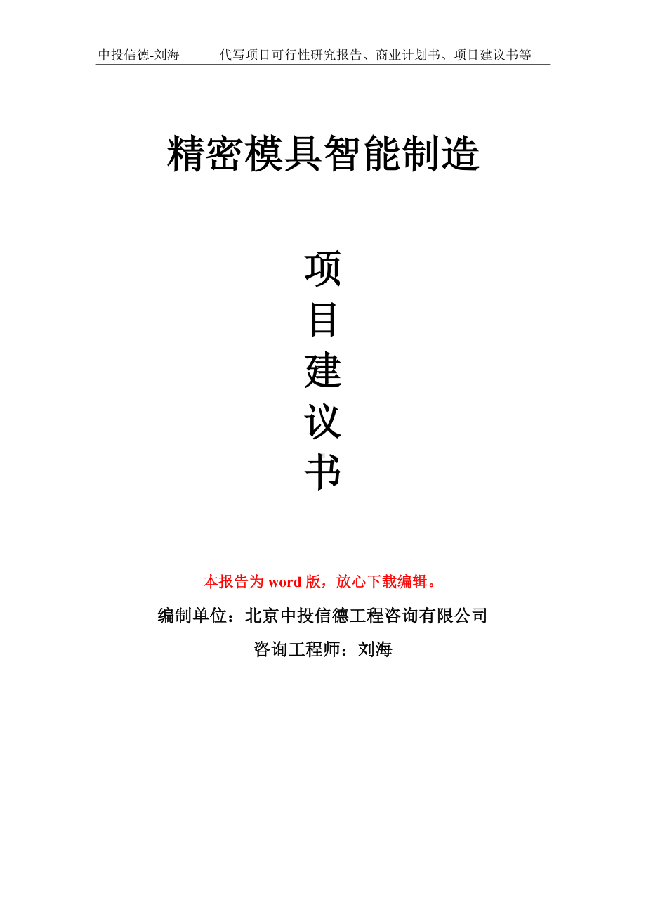 精密模具智能制造项目建议书写作模板.doc_第1页