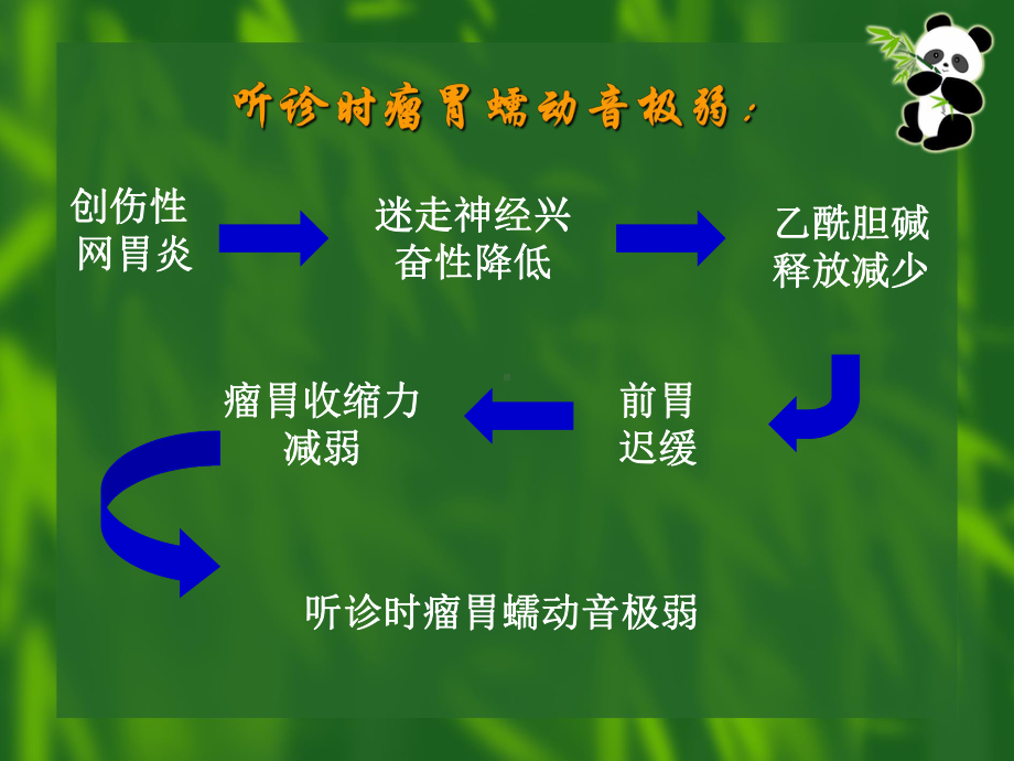 动物病理生理学课堂讨论.ppt_第3页