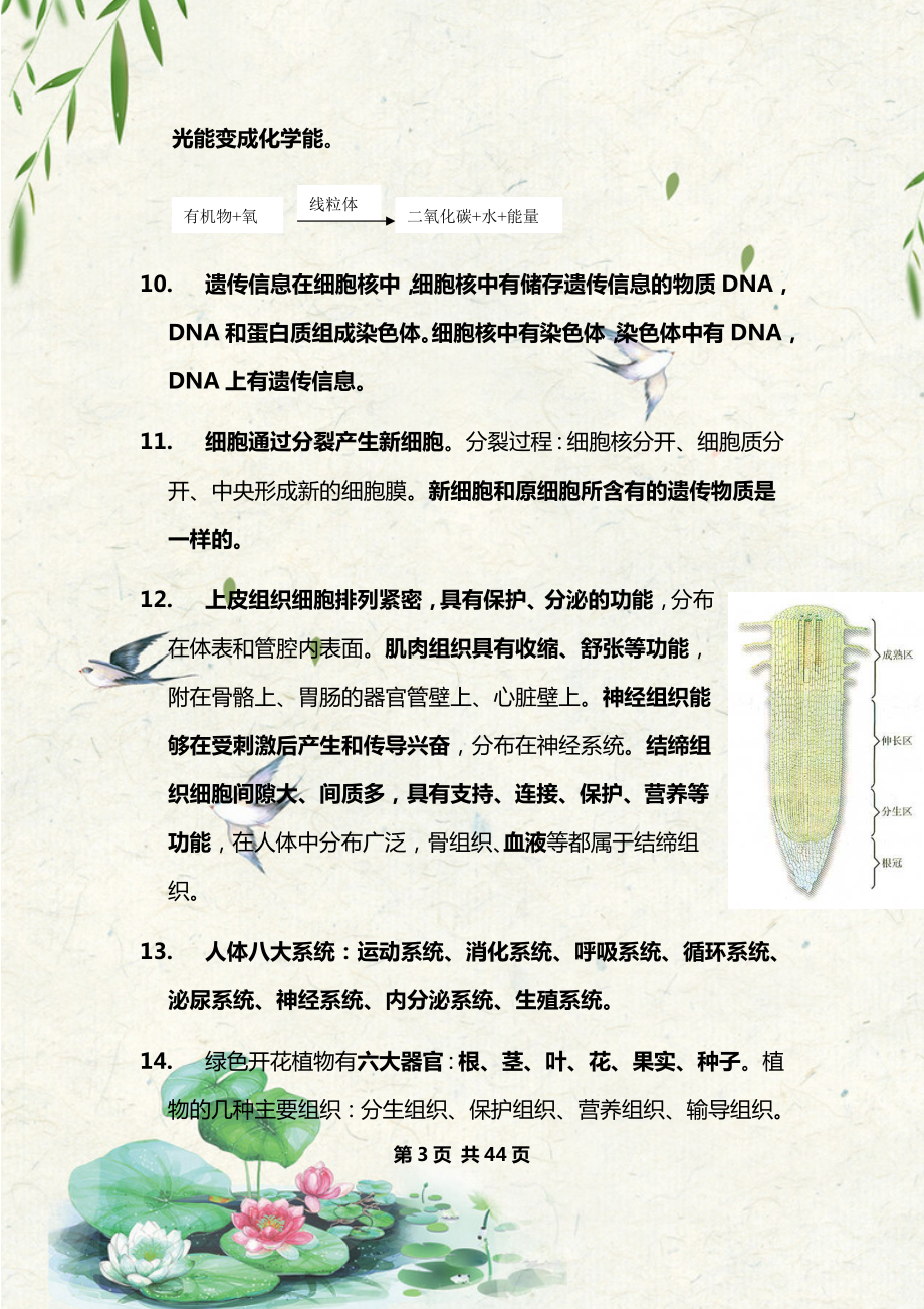 初中生物总复习资料大全.docx_第3页