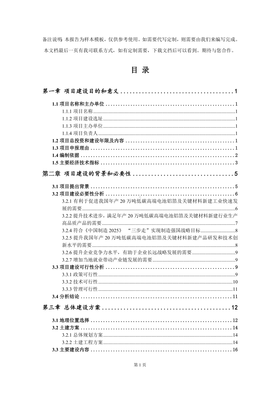 年产20万吨低碳高端电池铝箔及关键材料新建项目建议书写作模板.doc_第2页