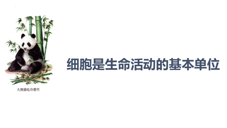 1.1细胞是生命活动的基本单位 ppt课件(34)-2023新人教版（2019）必修第一册.pptx_第1页