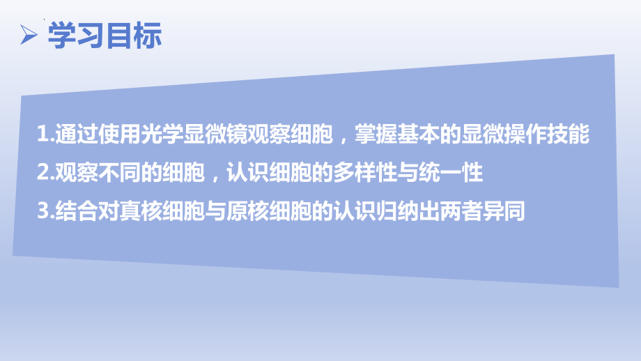 1.2 细胞的多样性与统一性 ppt课件-2023新人教版（2019）必修第一册.pptx_第2页