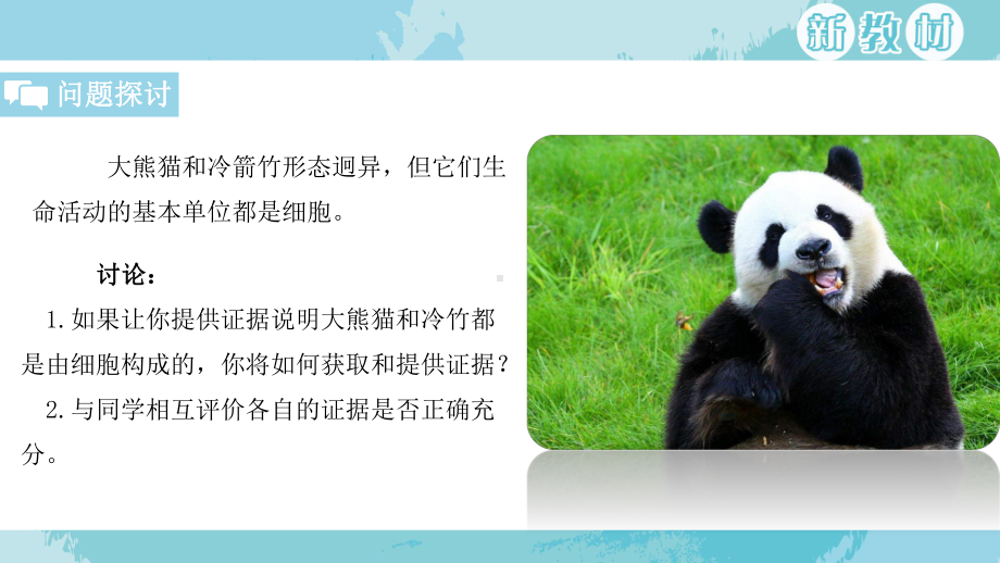 1.1细胞是生命活动的基本单位 ppt课件(32)-2023新人教版（2019）必修第一册.pptx_第2页