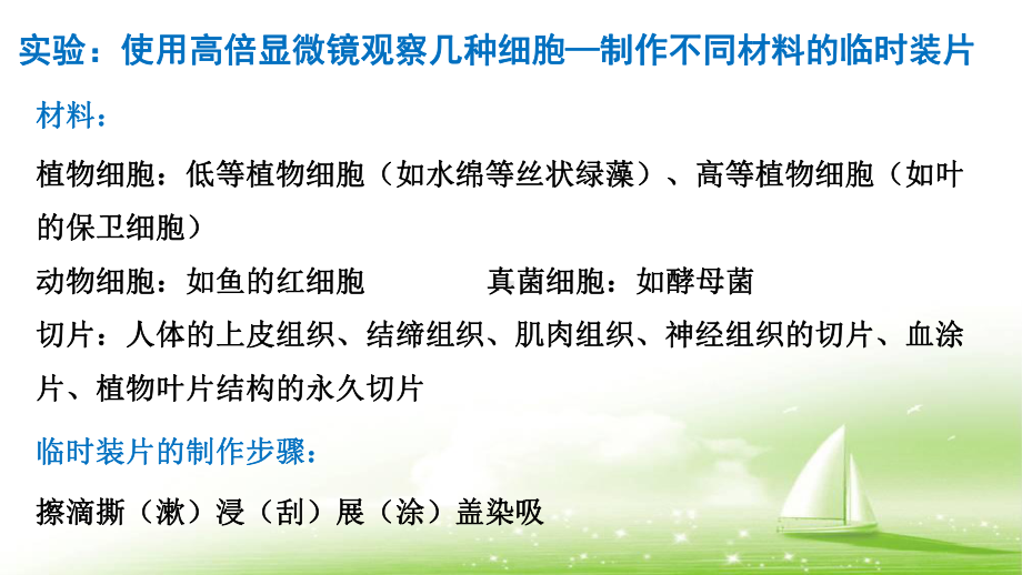 1.2 细胞的多样性和统一性 ppt课件-2023新人教版（2019）必修第一册.pptx_第3页