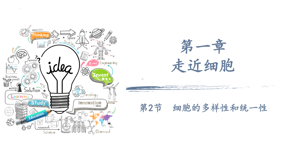 1.2 细胞的多样性和统一性 ppt课件-2023新人教版（2019）必修第一册.pptx_第1页