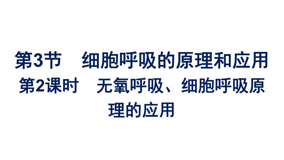 一轮复习：细胞呼吸的原理和应用 ppt课件-2023新人教版（2019）必修第一册.ppt_第1页