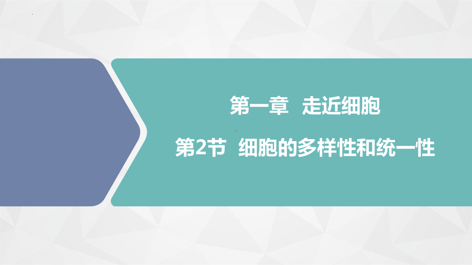 1.2 细胞的多样性和统一性 ppt课件-2023新人教版（2019）必修第一册.pptx_第1页