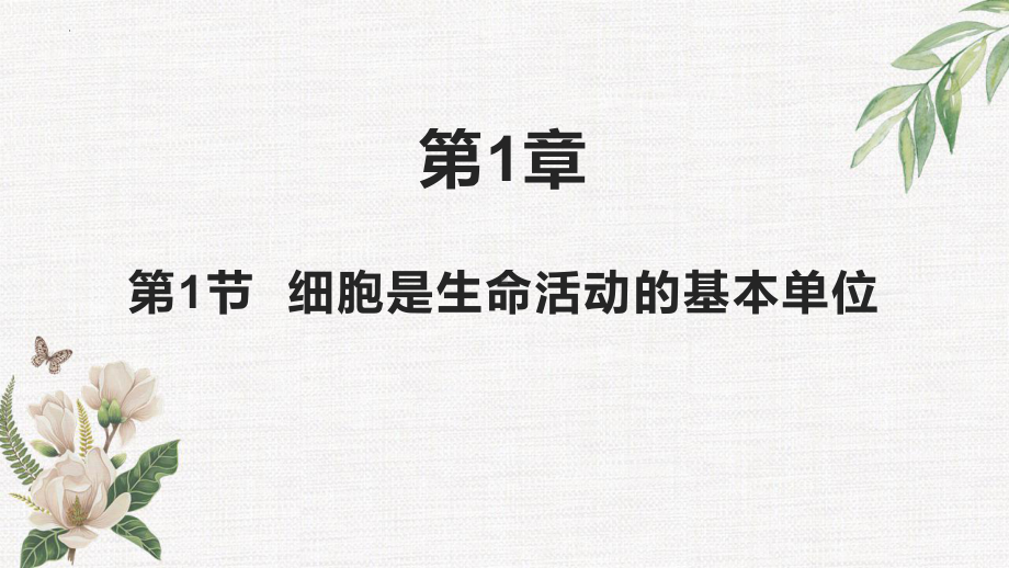 1.1细胞是生命活动的基本单位 ppt课件(31)-2023新人教版（2019）必修第一册.pptx_第1页