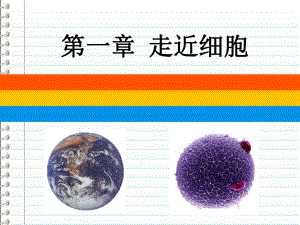 1.1细胞是生命活动的基本单位 ppt课件)-2023新人教版（2019）必修第一册.pptx