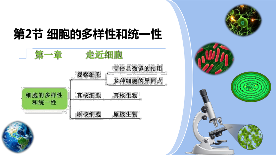 1.2细胞的多样性和统一性 ppt课件--2023新人教版（2019）必修第一册.pptx_第2页