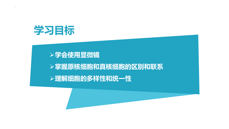 1.2 细胞的多样性和统一性 ppt课件-2023新人教版（2019）必修第一册.pptx_第2页