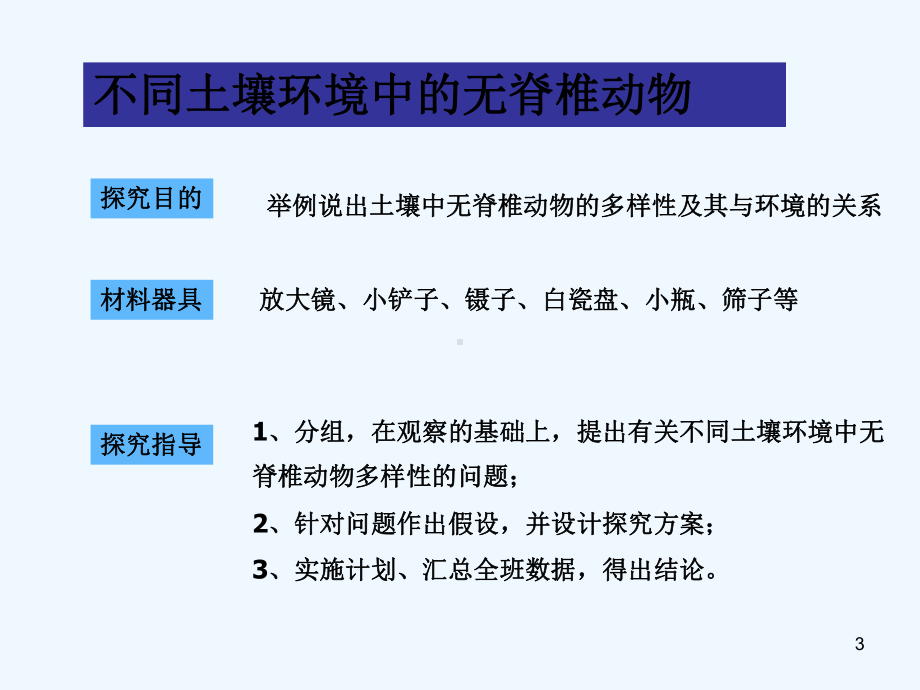 千姿百态的动物世界-课件.ppt_第3页