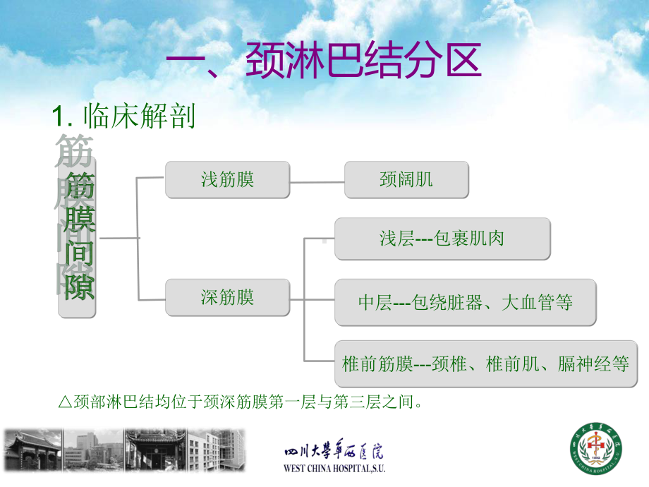 颈淋巴结分区及清扫术式分类.ppt_第2页