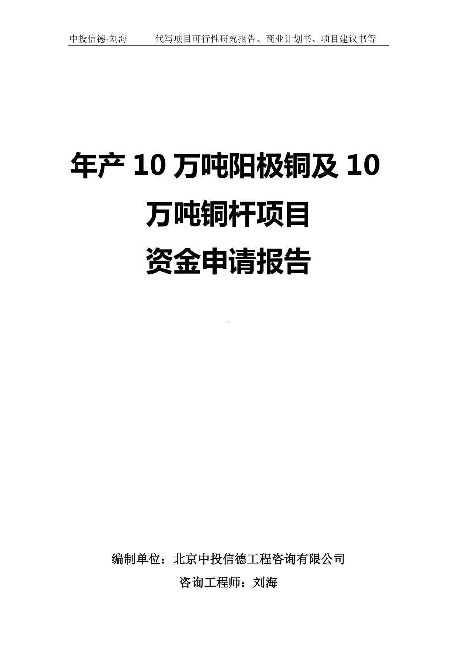 年产10万吨阳极铜及10万吨铜杆项目资金申请报告写作模板.doc_第1页