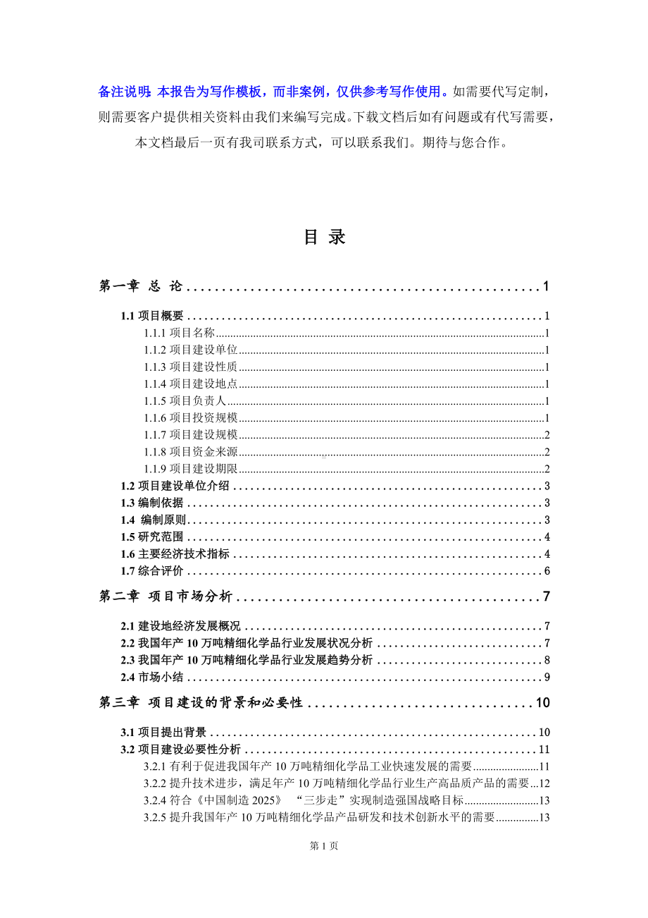 年产10万吨精细化学品项目资金申请报告写作模板.doc_第2页