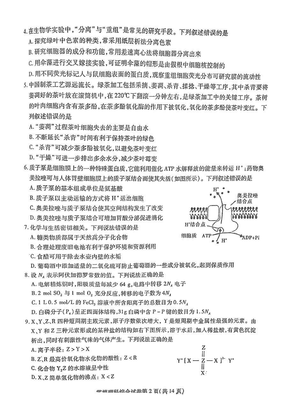 四川省内江市2024届高三零模考试理科综合试卷+答案.pdf_第2页