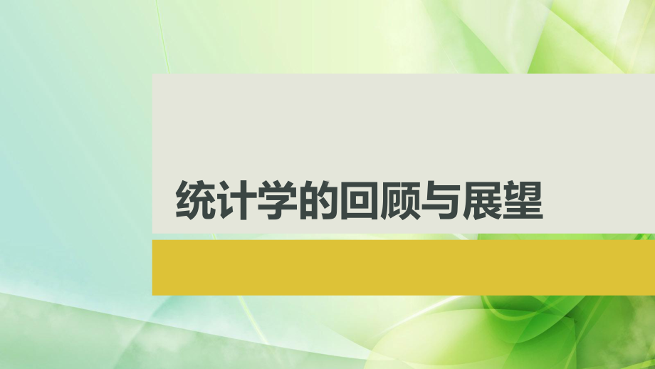 RJ人教版八年级数学下册课件统计学的回顾与展望.pptx_第2页