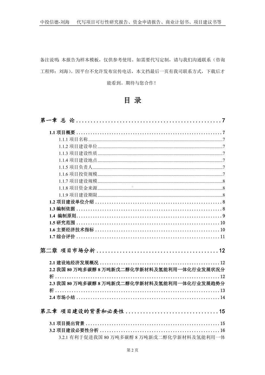 80万吨多碳醇8万吨新戊二醇化学新材料及氢能利用一体化项目资金申请报告写作模板.doc_第2页