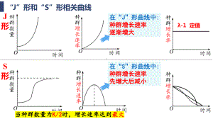 1.2种群数量的变化 (第2课时） ppt课件-2023新人教版(2019）《高中生物》选择性必修第二册.pptx