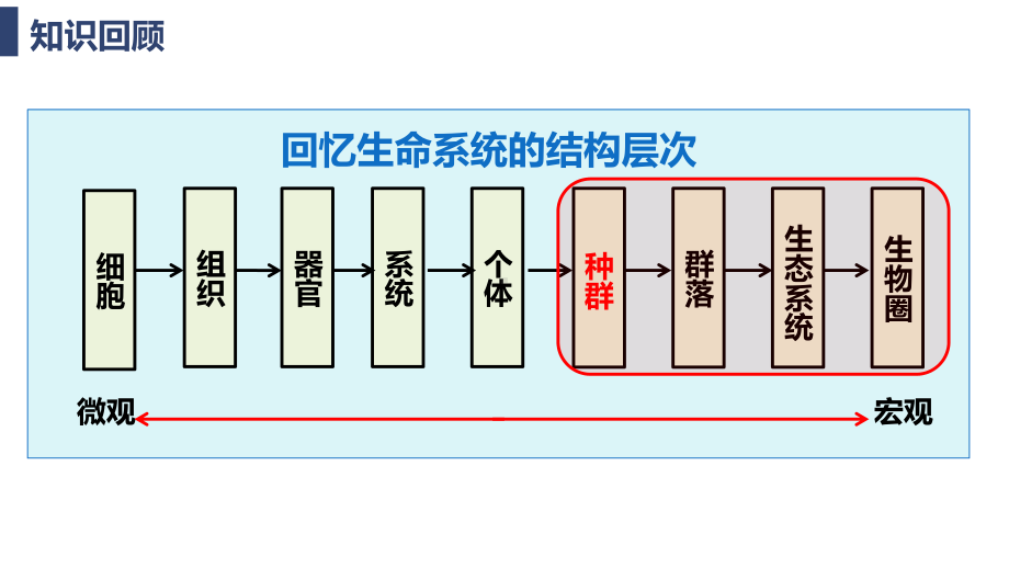 1.1种群的数量特征 (第1课时） ppt课件-2023新人教版(2019）《高中生物》选择性必修第二册.pptx_第1页