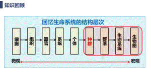 1.1种群的数量特征 (第1课时） ppt课件-2023新人教版(2019）《高中生物》选择性必修第二册.pptx