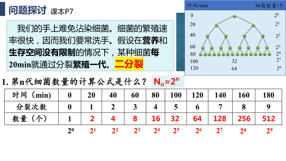 1.2 种群数量的变化 ppt课件-2023新人教版(2019）《高中生物》选择性必修第二册.pptx_第3页