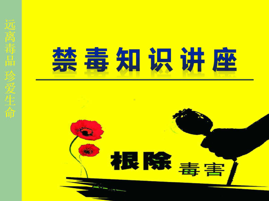 （初中主题班会课件）九年级（20）班《抵制毒品关爱健康》主题班会（46张PPT）.pptx_第2页