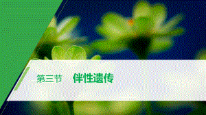 第4章 第三节 伴性遗传 ppt课件-2023新北师大版（2019）《高中生物》必修第二册.pptx