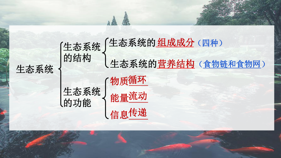 一轮复习ppt课件：生态系统的结构-2023新人教版(2019）《高中生物》选择性必修第二册.pptx_第2页