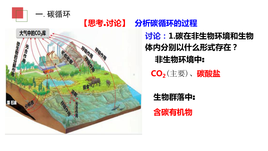 3.3生态系统的物质循环ppt课件(同名6)-2023新人教版(2019）《高中生物》选择性必修第二册.pptx_第3页